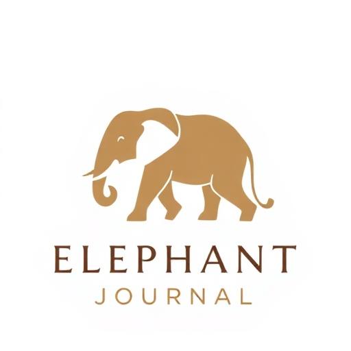 Elephant Journal
